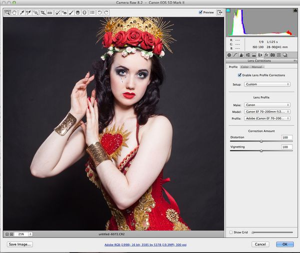 后期修图神器!PS CC Camera Raw修图 后期修图神器!PS CC Camera Raw修图