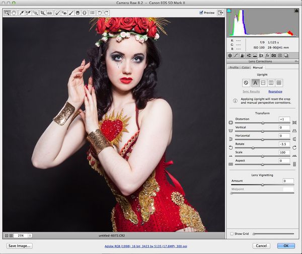 后期修图神器!PS CC Camera Raw修图 后期修图神器!PS CC Camera Raw修图