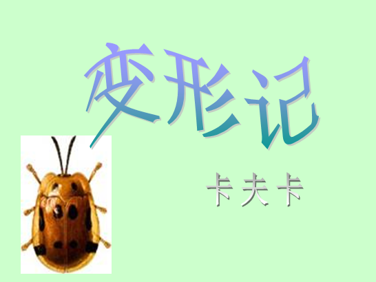 变形记简介|卡夫卡变形记介绍ppt免费版