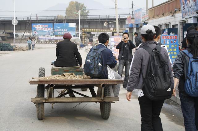 研究生社会调查报告范文(含格式) 图片预览