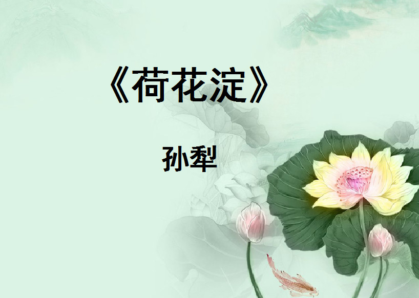 荷花淀ppt|荷花淀教学课件免费版