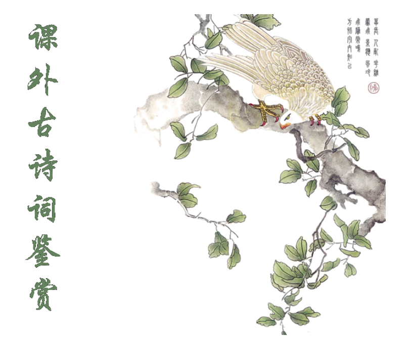 诗歌鉴赏答题技巧大全