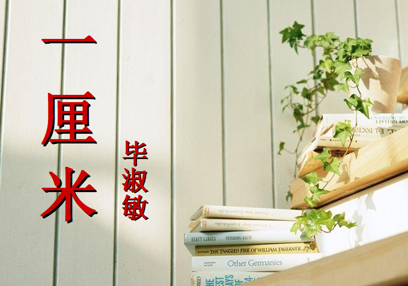 一厘米ppt|一厘米教学课件免费版【共20页】-东坡下载