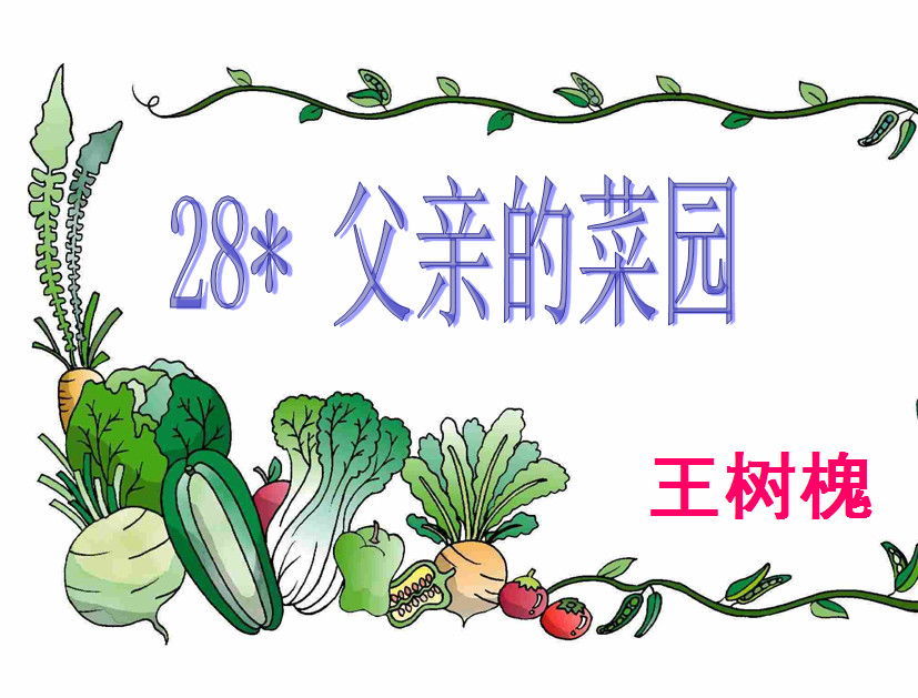 父亲的菜园ppt|父亲的菜园教学课件小学语文