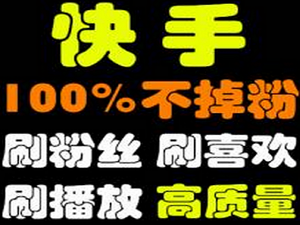 快手刷粉丝平台_快手刷粉丝软件免费_东坡下