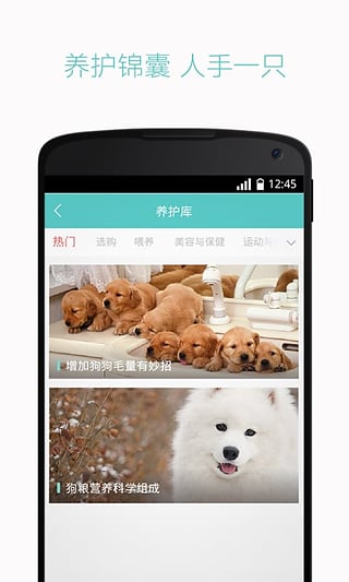 宠物专家咨询|狗狗医生在线咨询软件(一只)1.0