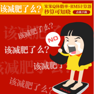 体脂率计算软件|笨笨Q体脂率BMI计算器1.0 绿