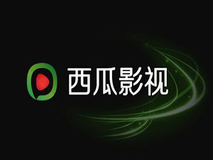 西瓜影音播放器官方下载|西瓜影视(西瓜影音播