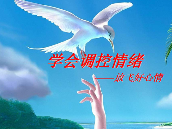 中学生心理健康教育ppt|学会调控情绪放飞好心