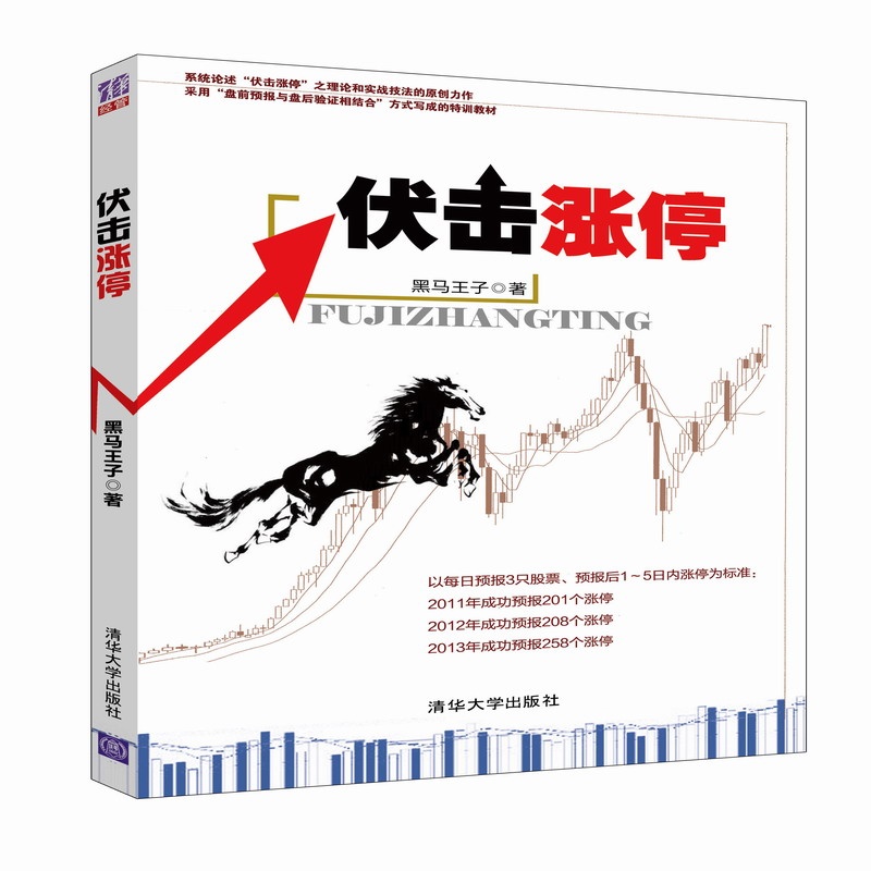 伏击涨停pdf下载|伏击涨停电子版pdf高清扫描版