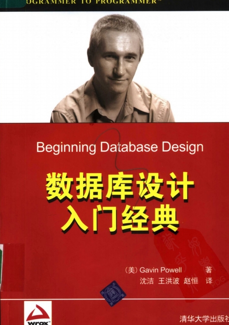 数据库设计入门经典pdf|数据库设计入门经典中