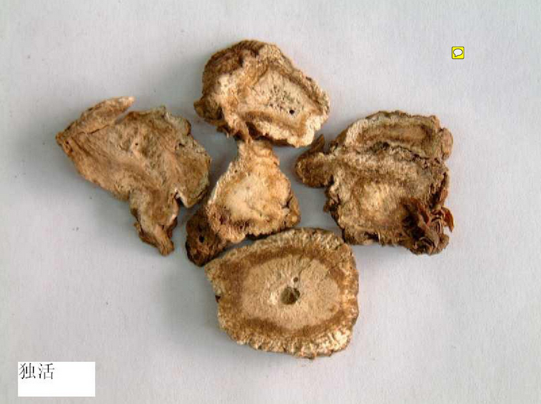 中药饮片图片集备注pdf|中药饮片图片集备注(共