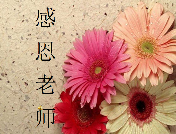 感恩老师的ppt|感恩老师主题班会ppt课件免费版