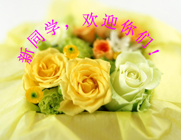 初一入学教育ppt|初一新生入学教育ppt课件免费