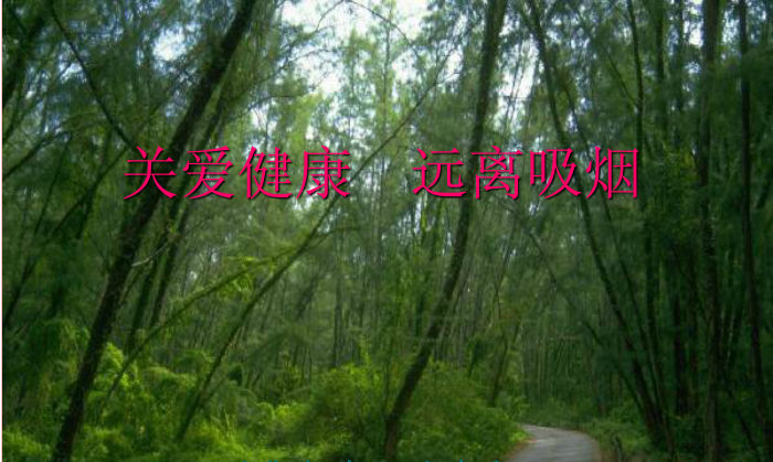 吸烟有害健康ppt下载|吸烟的危害ppt模板大全免