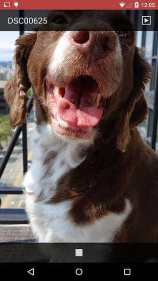 allcast for android|AllCast(屏幕投射手机)2.0.3.