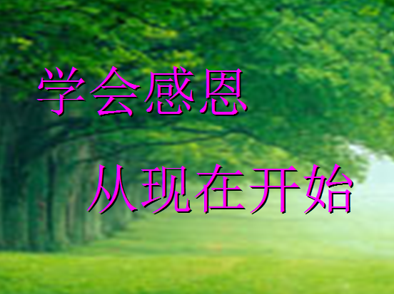 学会感恩ppt|学会感恩主题班会课件(适用于中学