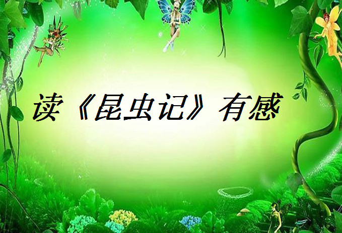 昆虫记读后感ppt好不好_昆虫记读后感ppt用户