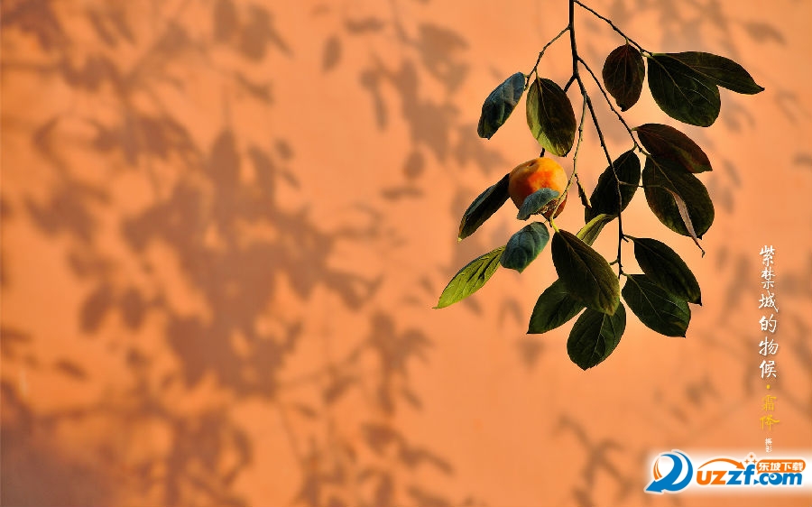 霜降壁纸高清图片下载|霜降电脑壁纸高清免费