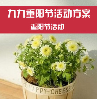 公司重阳节活动主题 公司重阳节活动策划方案