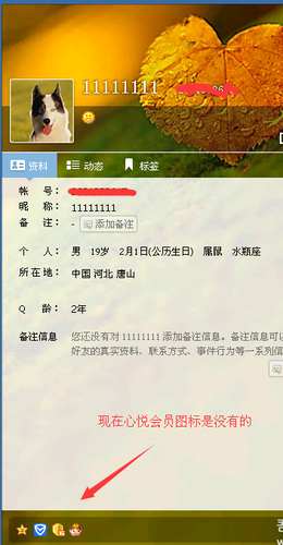 霖哥心悦会员一键点亮软件|霖哥心悦会员点亮
