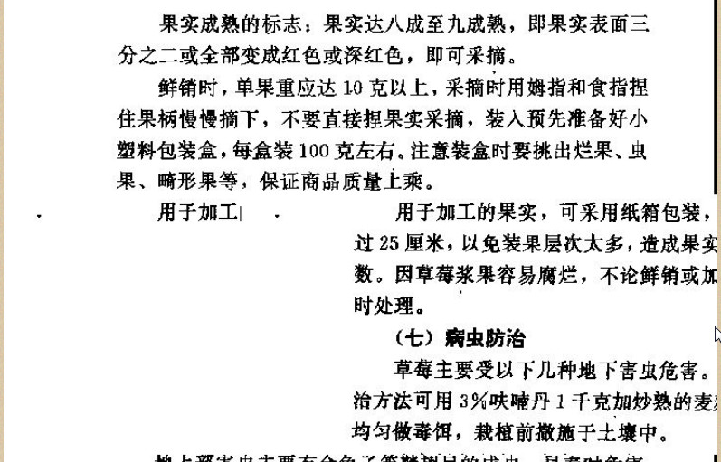 草莓高产栽培技术|草莓高产栽培及加工新技术