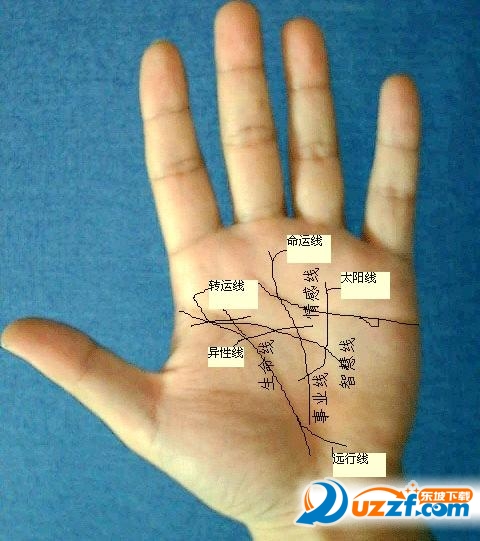 百发百中手相流年图算命(图解)pdf格式电子免费