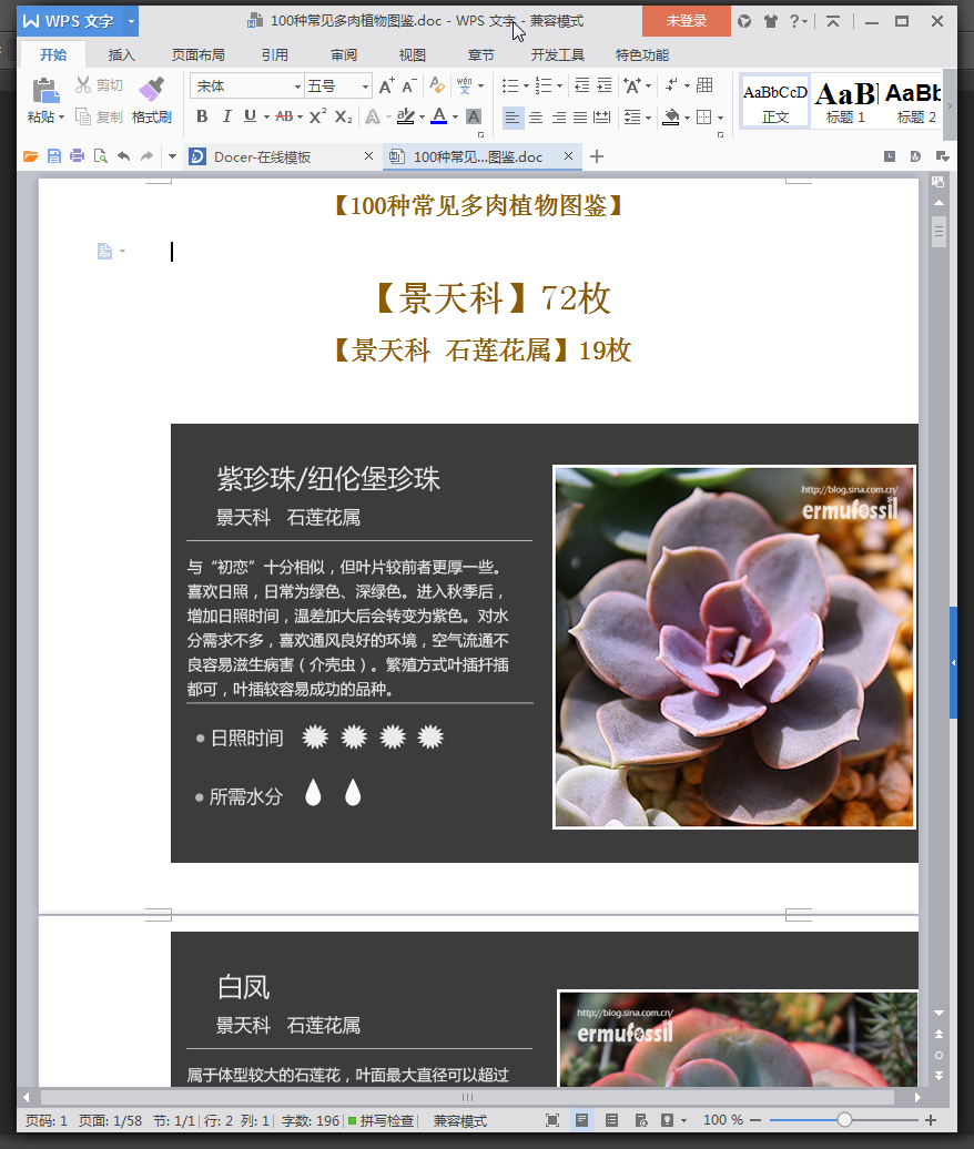 多肉植物图鉴大全识别|100种常见多肉植物图鉴