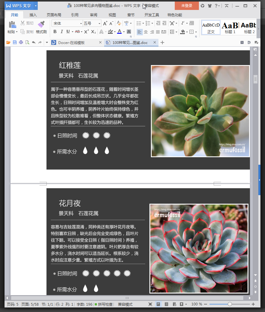 多肉植物图鉴大全识别|100种常见多肉植物图鉴