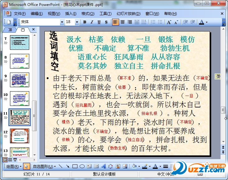 桃花心木ppt优秀课件(人教版小学六年级语文下