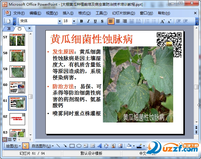 大棚黄瓜种植栽培及病虫害防治技术培训教程课
