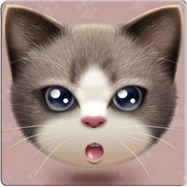 懒猫营销安卓自动加粉转发小视频|懒猫微信营