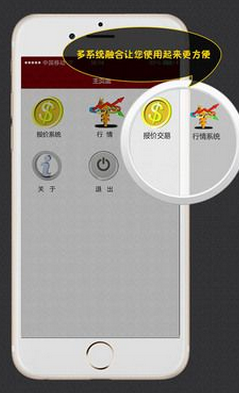 大交所挂牌版软件app1.1.3安卓手机版