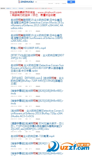 蜘蛛磁力搜索手机版下载|蜘蛛磁力搜索器免费