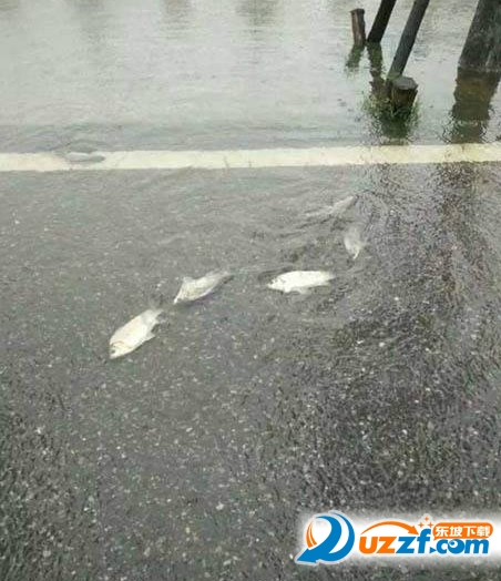 朋友圈武汉暴雨看海图片制作软件|2016武汉暴