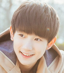 中考成绩单图片生成器|王源中考成绩单图片生