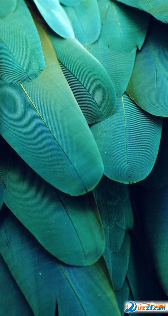 ios10自带壁纸原图|苹果ios10官方内置壁纸10