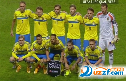 2016法国欧洲杯瑞典球队阵容及实力分析好不