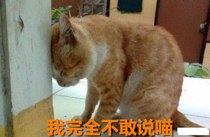 我完全不敢说话表情包好不好_我完全不敢说话