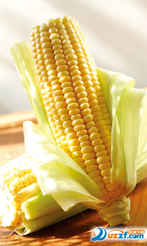 山东农产品交易网app下载|山东农产品交易网手