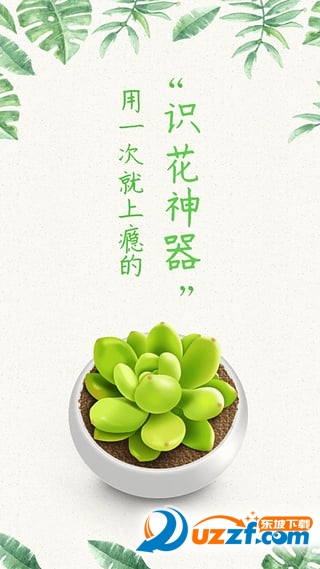 形色app|形色(识花认草神器)2.0.1 官方安卓版