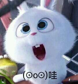 爱宠大机密兔子表情|爱宠大机密兔子表情图片