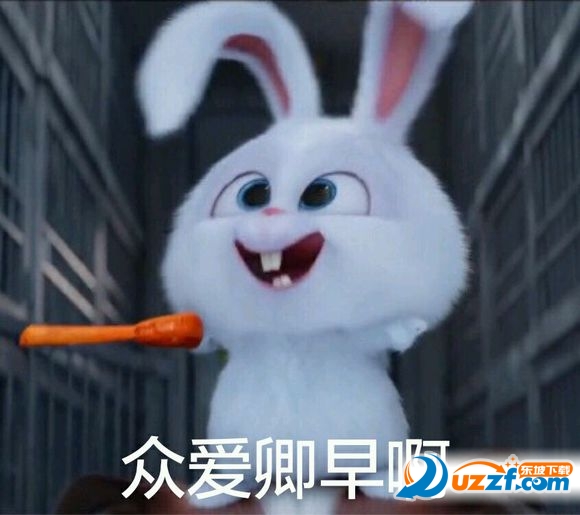 爱宠大机密兔子表情图片高清无水印完整版