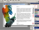 Adobe Photoshop CS 8.0 İװ(ע)