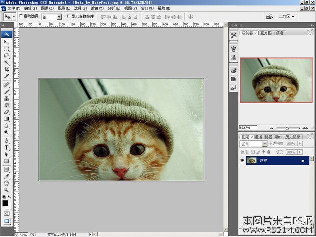 PS拆分照片教程_打开照片