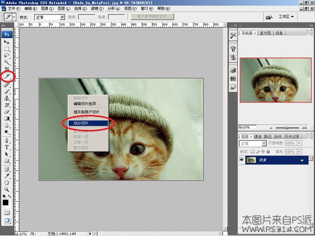 PS拆分照片教程_切片工具