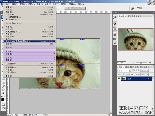 PS拆分照片教程_保存