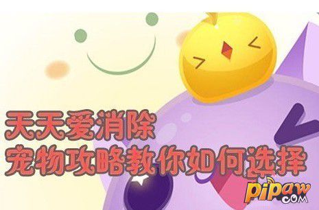天天爱消除宠物哪个好 教你正确选择宠物 天天爱消除宠物哪个好 教你正确选择宠物
