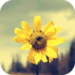 ���֡�ʶ��(����ʶ��)1.3.0 ��׿������Ѱ�