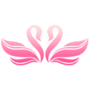 ��������app1.6.8 ��׿���°�